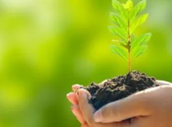 Pourquoi Investir dans l'immobilier écologique ?