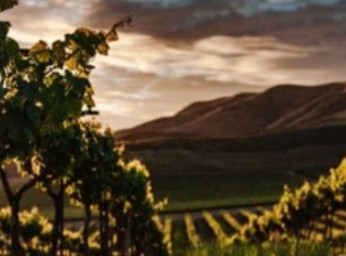 Les résidences secondaires à Olonzac : un investissement recherché au cœur du Minervois